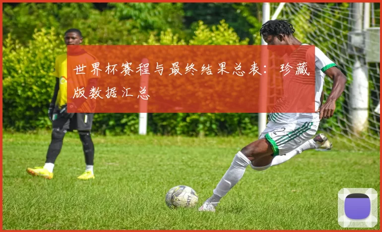 世界杯赛程与最终结果总表:珍藏版数据汇总
