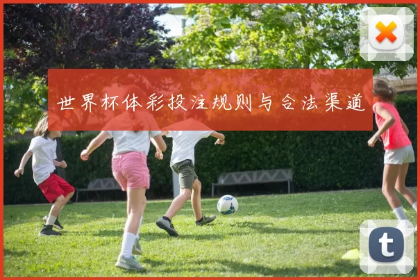 世界杯体彩投注规则与合法渠道