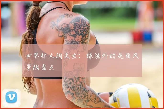 世界杯大胸美女：球场外的亮丽风景线盘点