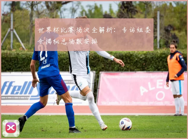世界杯比赛场次全解析：专访组委会揭秘总场数安排