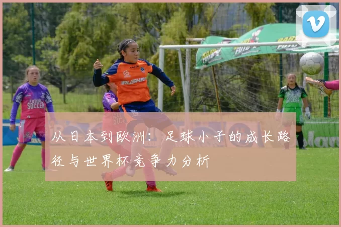 从日本到欧洲:足球小子的成长路径与世界杯竞争力分析