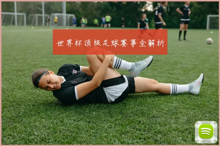 世界杯顶级足球赛事全解析