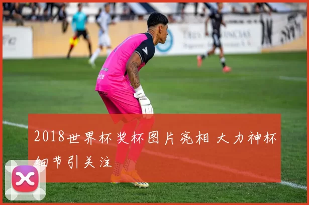 2018世界杯奖杯图片亮相 大力神杯细节引关注