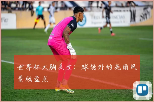 世界杯大胸美女:球场外的亮丽风景线盘点