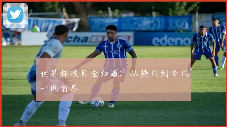 世界杯项目全知道:从热门到冷门一网打尽