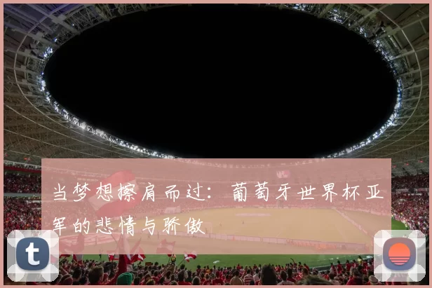 当梦想擦肩而过:葡萄牙世界杯亚军的悲情与骄傲