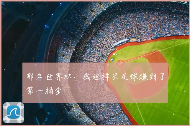 那年世界杯,我这样买足球赚到了第一桶金